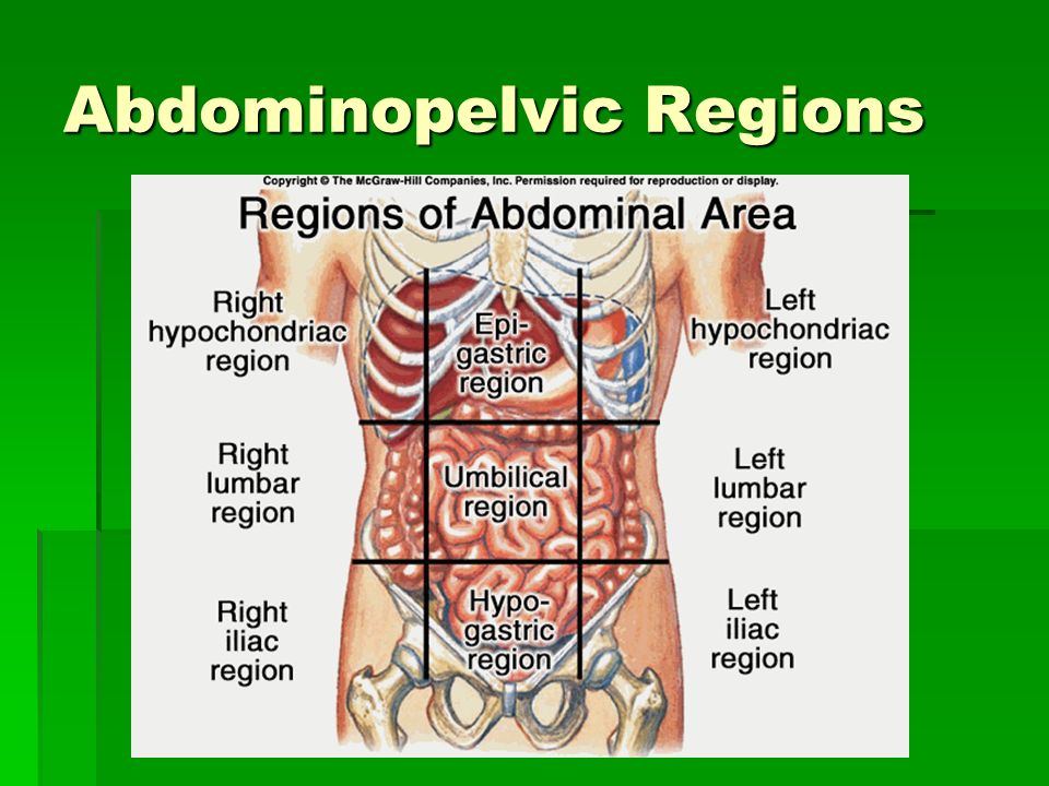 Presion abdomen